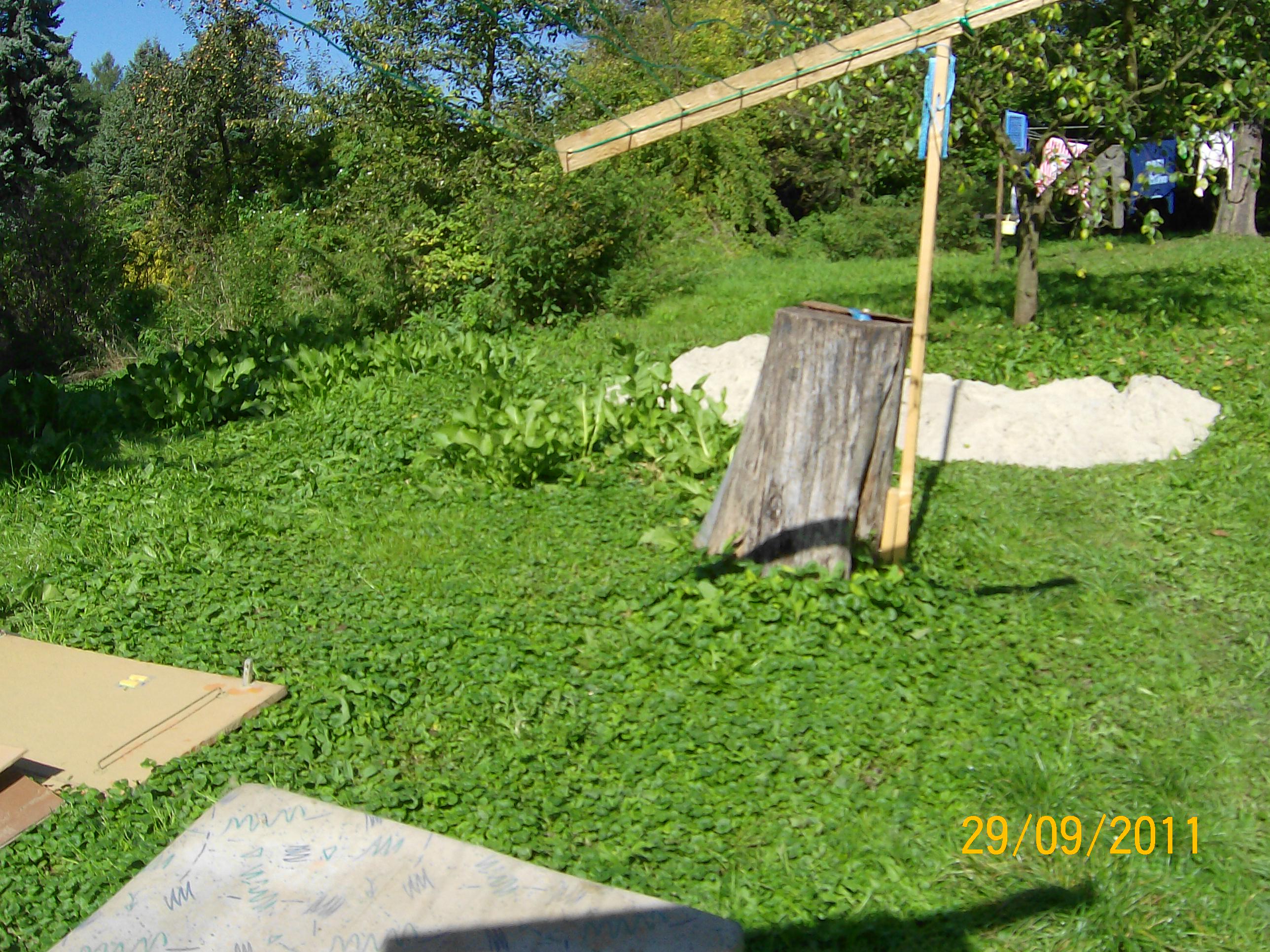100_0100